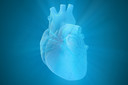 O que h&aacute; de novo em cardiologia: confira os principais avan&ccedil;os divulgados nos &uacute;ltimos meses
