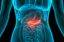 Pesquisadores eliminam completamente tumores pancre&aacute;ticos em camundongos, sem que se desenvolva resist&ecirc;ncia