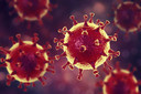 Vírus modificado rouba proteínas do HIV, apontando para uma nova terapia